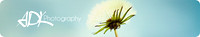 Email Banner