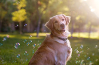 ADK20140614 0019